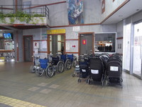 Rental wheelchair in Flower Park Kagoshima