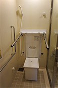 Semi-automatic 
roll-in -shower
