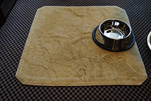 Bowl and rug for service dog
